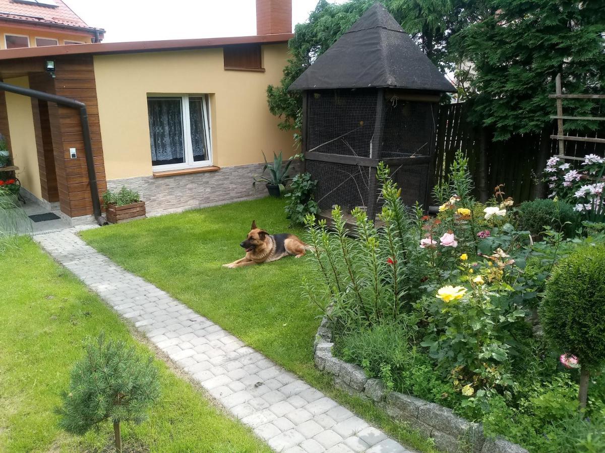 Agroturystyka U Agaty Chęciny エクステリア 写真