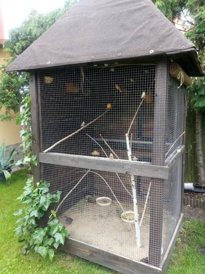Agroturystyka U Agaty Chęciny エクステリア 写真