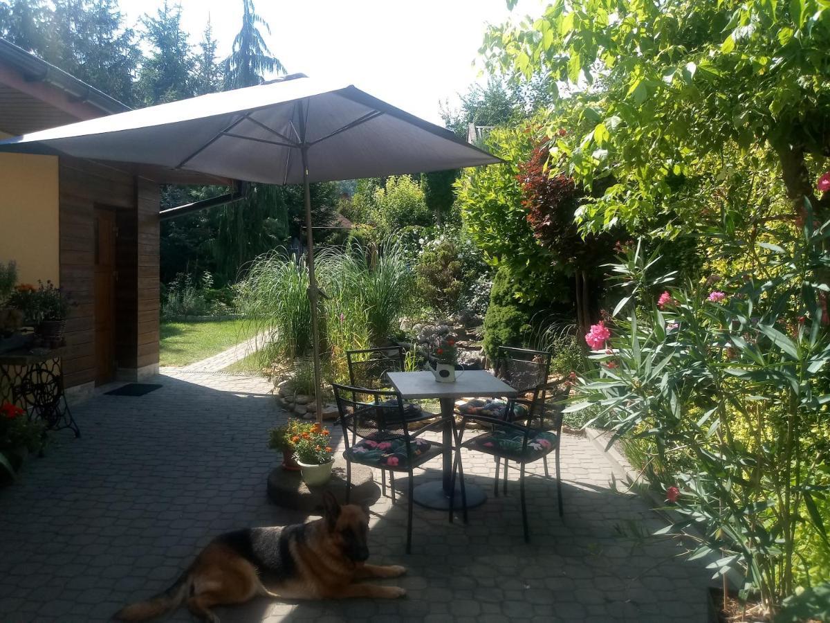 Agroturystyka U Agaty Chęciny エクステリア 写真